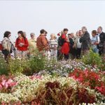 Vereinsausflug 2011: Bundesgartenschau in Koblenz - Theaterverein Eintracht Nemmenich